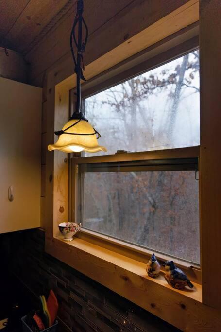 Hideaway Cabin Near Mammoth Springs, Ark Екстериор снимка